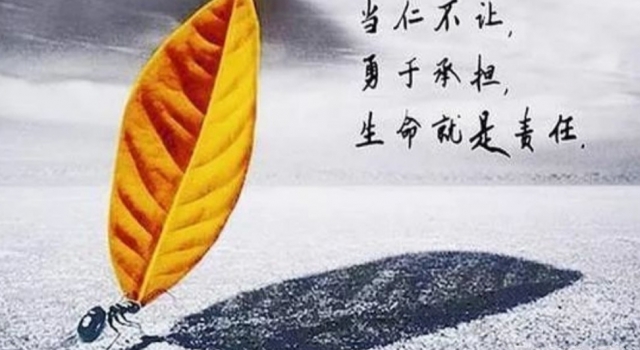 找女朋友真的很难 但是它难就难在你不想找
