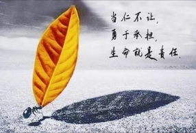 Ůĺ Ѿ㲻