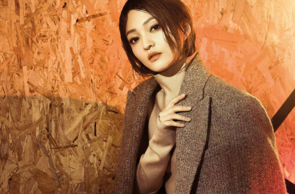 过气的明星都有谁 曾经大红大紫 如今无人问津