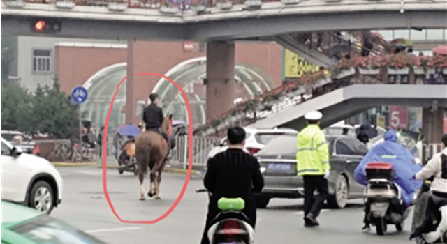 小伙骑马街头闲逛是怎么回事?闹市内骑马到底合不合法?