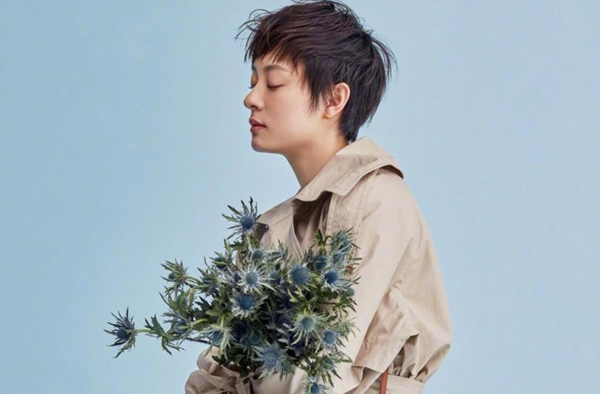 孙俪的脸不适合电影 揭秘电影脸的三大特点