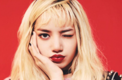 Lisa ̩ ֧Lisa