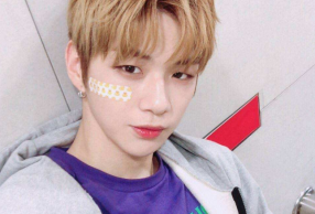˹˾ solo׼ ʱ