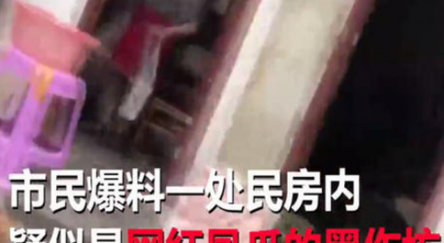 网红凤爪厕所烹煮 不查不知道 这样的凤爪你还吃吗？