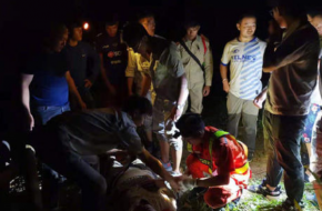 中国团老挝车祸 事故原因是什么？伤亡如何？