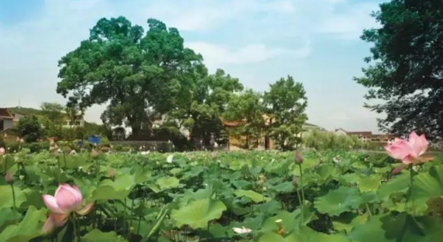 杭州旅游指南 这三个地方必须去 你绝对没有见过