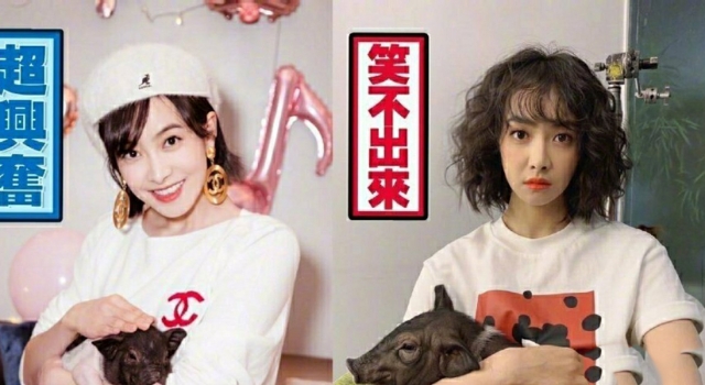 宋茜的猪又长大了 体型前后对比太大 网友：可以开吃了