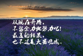2019Щ¼ ˵ 
