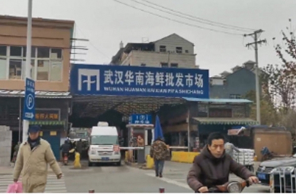 武汉发现不明原因肺炎 网友：等官方消息 不信谣不传谣