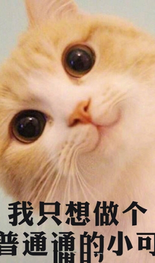 00后排名第三的梦想是普通人 网友：佛系玩家即将宰世