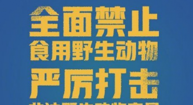 湖北全面禁止食用野生动物 自公布之日起施行