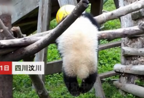 è»»賿ֱ 7Сʱ˲鿴 ͬ