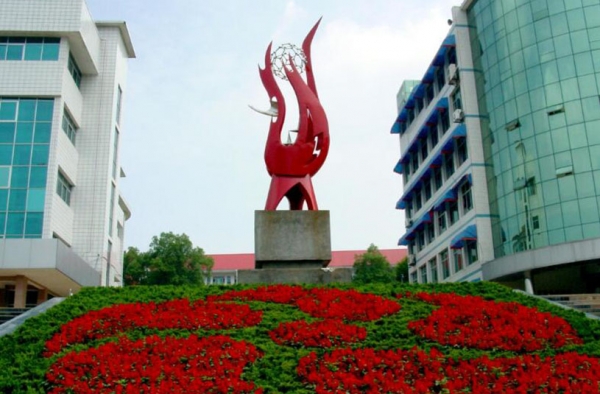 湖北襄阳学校增设健康副校长 网友：希望不是个摆设