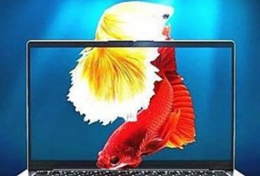2020ᱡʼǱƼ 3 Ϸ칫ܸ㶨