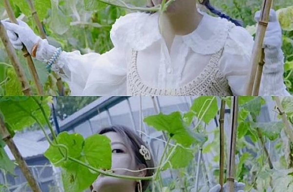 赵薇菜园里拍大片好接地气！娃娃领上衣搭配牛仔裙，44岁也少女