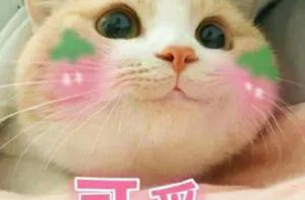 京圈白富美x皇族后裔，上流社会的恩怨情仇可太刺激了
