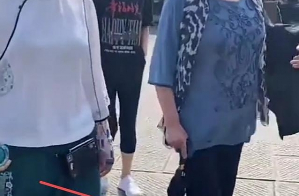 70岁斯琴高娃罕见露面，两颊肉下垂苍老严重，腿脚不便需拄拐杖