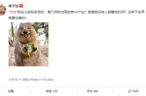 章子怡发文怒斥代拍：就没人管他们吗？这样下去早晚要出事的