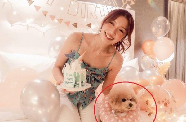 郭嘉文真是富贵命：生日派对暗藏玄机，连宠物狗都被网友羡慕