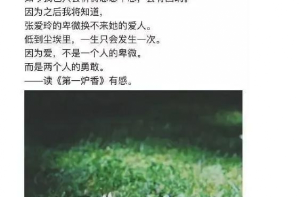 连俞飞鸿、彭于晏都被嘲，张爱玲的这部作品还有谁能演？