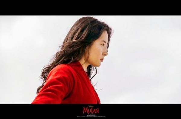 豆瓣评分4.8的《花木兰》，真的那么烂吗？