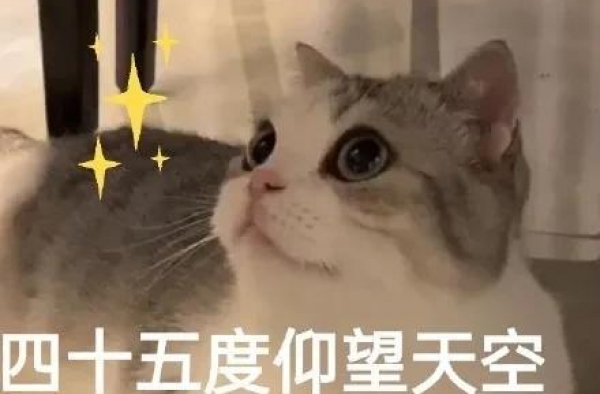 性感小三颜值吊打换头宝，一张悲情脸被全网造谣是变性人...