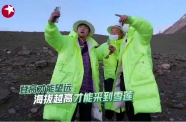 《极限挑战》艺人采摘国家二级保护植物，植物学家顾有容感到无力