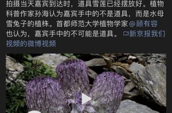 小八卦，王子异蔡徐坤，陈伟霆，丁禹兮，何炅汪涵，刘宇宁