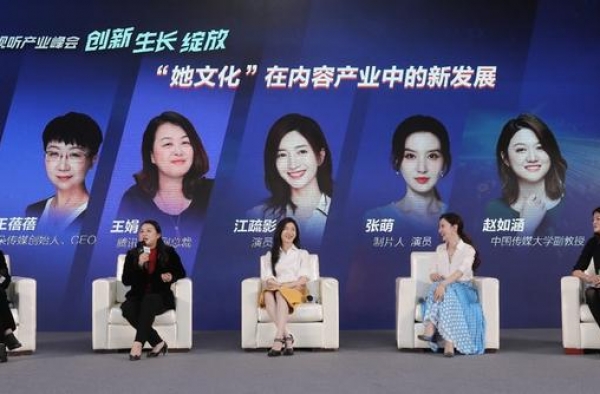 《三十而已》《姐姐》之后，影视市场需要怎样的“独立女性”？