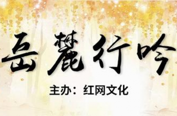 剧评丨杨柳湾：差不多小姐的完美逆袭