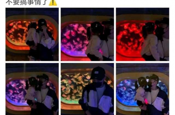 陈赫与大女儿游海洋馆，全程抱着安安眼神宠溺，张子萱要吃醋了