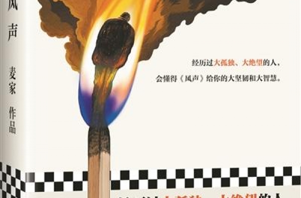 “仿佛在看 明星现场追星”
