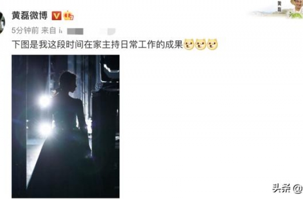 孙莉上国家大剧院演出，黄磊兴奋晒妻子舞台照，却被认成黄多多