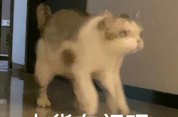 太敢拍！天王嫂的事被香港拍进电视剧里了