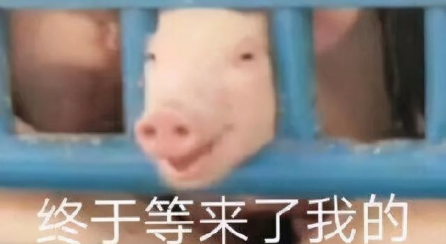 别再吹张一山演技了行不，看看这都拍得什么玩意儿