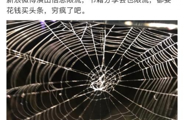 知名歌手怒怼新浪微博：穷疯了吧
