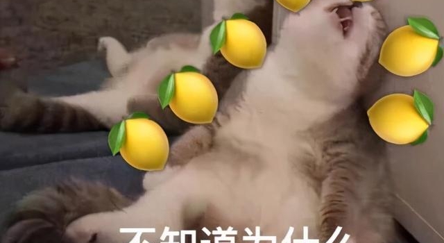 论装x，谁能赢得了他？