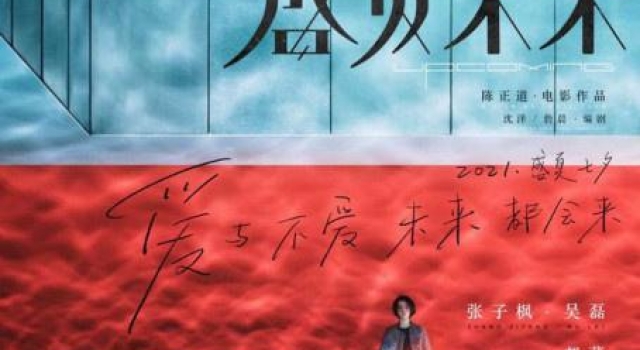 张子枫吴磊《盛夏未来》发海报 定档2021年七夕