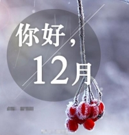 12月电影院疯狂上映新片，有没有烂片不知道，这5部踩坑都要看