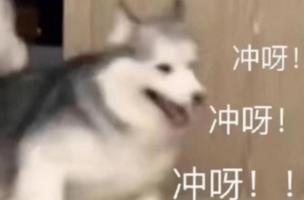 《追光吧哥哥》靠油腻出圈，中年男团简直是“人间油物”