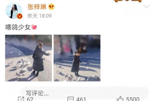 张梓琳晒女儿喂鸽近照，才4岁就腿长逆天，已有“小模特”架势