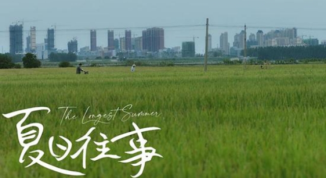 在寒冷的冬天，回味最炙热的《夏日往事》