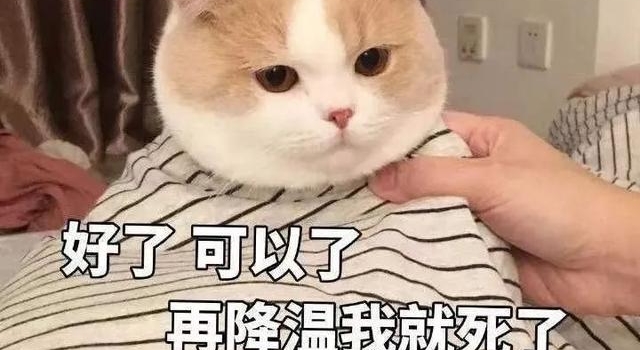 买圣诞限量也能省钱？试试《潮流合伙人2》的这几招