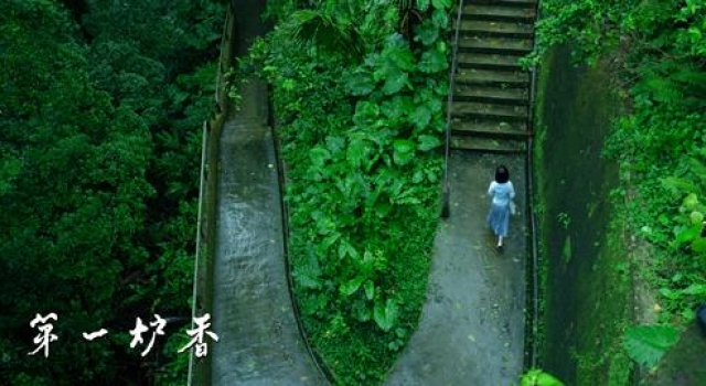 许鞍华电影“北上”启示录