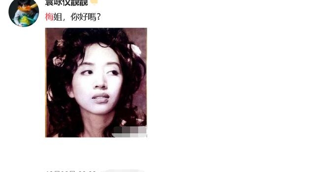梅艳芳离世17周年，生前交友遍布娱乐圈，袁咏仪悼念十年未中断