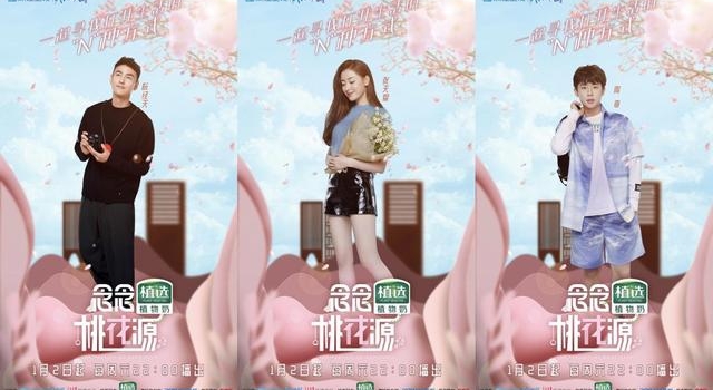 《念念桃花源》张钧甯岳云鹏体验悠闲自在慢生活