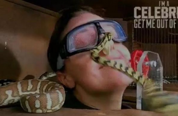 知名女星录节目被关蟒蛇箱，当场被咬满脸血，工作人员一旁看热闹
