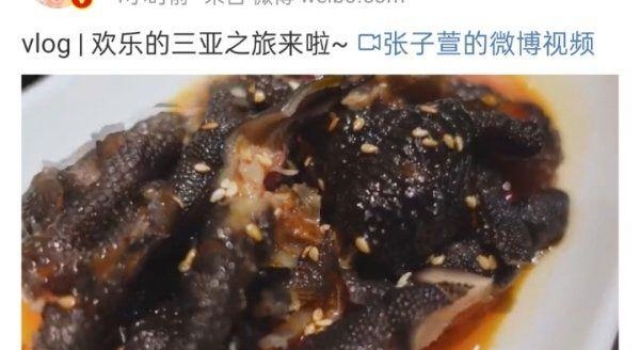 张子萱晒vlog甜美出镜，喊陈赫老公秀恩爱，自称过气明星