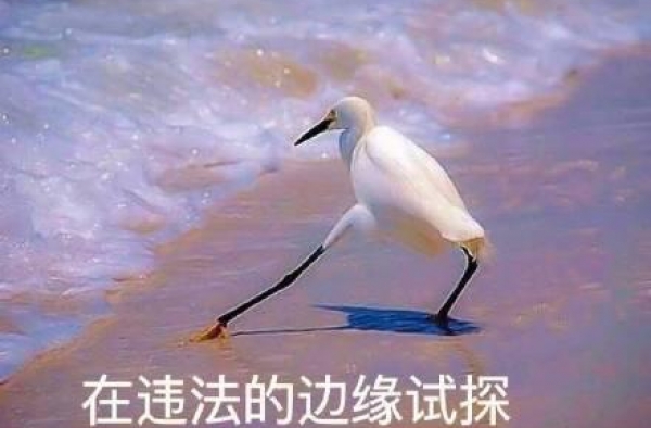 中央政法委长安剑评郑爽代孕弃养风波：钻法律空子，这绝不是无辜