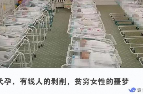 郑爽又爆料，代孕门大反转？借腹生子，最大赢家永远是有钱人